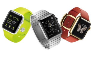 Le volet fitness de l'Apple Watch est en revanche particulièrement rempli, du fait du cardiofréquencemètre intégré.
